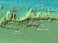 Lynn-1