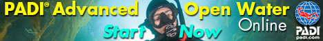 AOWonline_Bnr_09-468x60