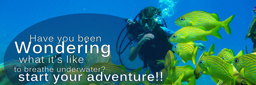 Discover Diving