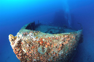 Pompano Beach Scuba Diving & Snorkeling